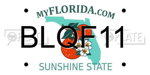 BLQF11 Florida License Plate