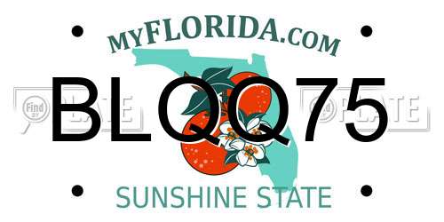 BLQQ75 Florida License Plate