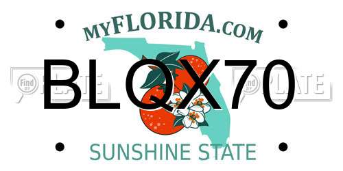 BLQX70 Florida License Plate