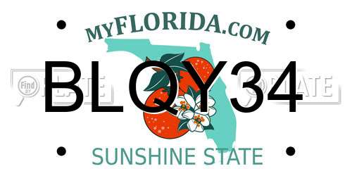 BLQY34 Florida License Plate