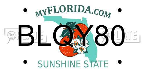 BLQY80 Florida License Plate