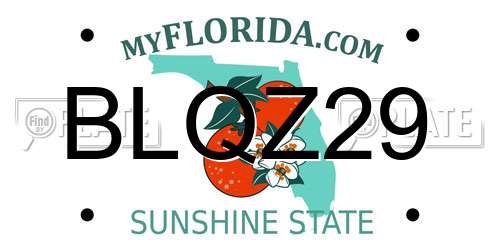 BLQZ29 Florida License Plate