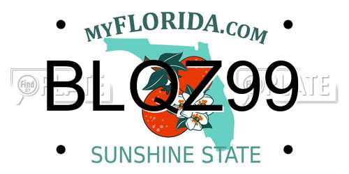 BLQZ99 Florida License Plate