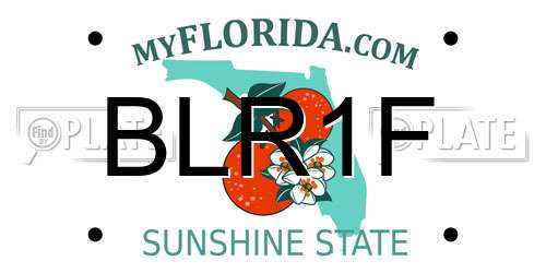 BLR1F Florida License Plate