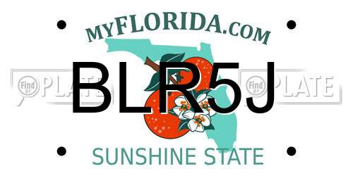 BLR5J Florida License Plate