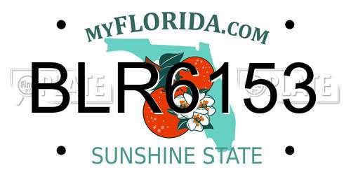 BLR6153 Florida License Plate