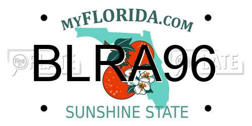 BLRA96 Florida License Plate
