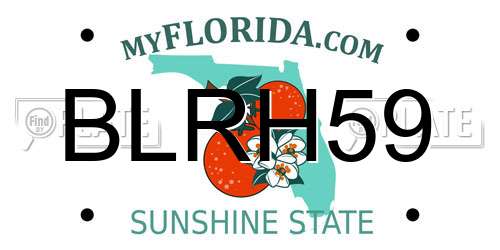 BLRH59 Florida License Plate