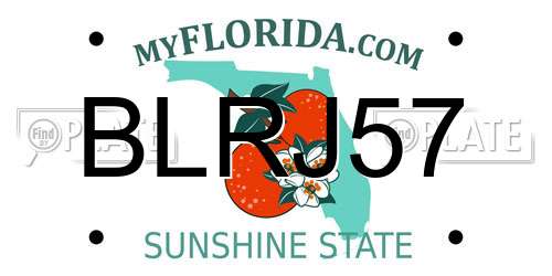 BLRJ57 Florida License Plate