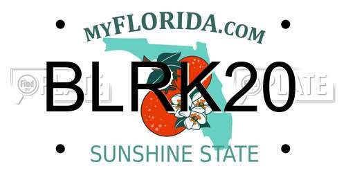 BLRK20 Florida License Plate
