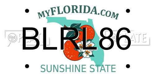 BLRL86 Florida License Plate