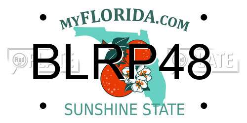 BLRP48 Florida License Plate