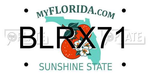 BLRX71 Florida License Plate
