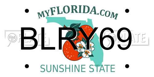 BLRY69 Florida License Plate