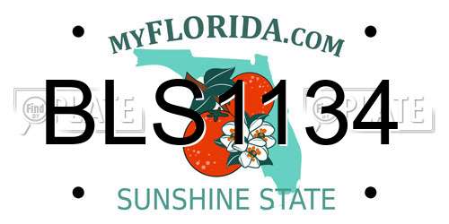 BLS1134 Florida License Plate