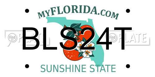 BLS24T Florida License Plate