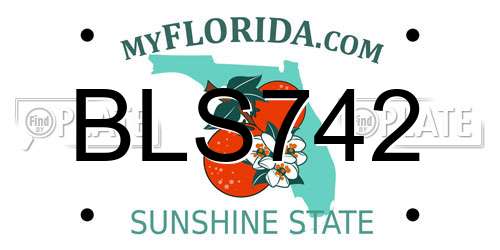 BLS742 Florida License Plate