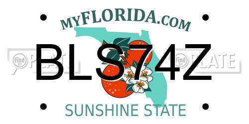 BLS74Z Florida License Plate