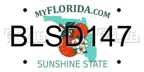 BLSD147 Florida License Plate