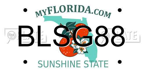 BLSG88 Florida License Plate