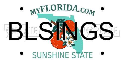 BLSINGS Florida License Plate