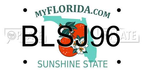 BLSJ96 Florida License Plate