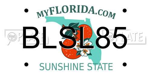 BLSL85 Florida License Plate