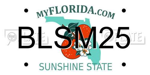 BLSM25 Florida License Plate