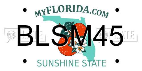 BLSM45 Florida License Plate