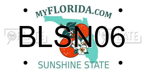 BLSN06 Florida License Plate