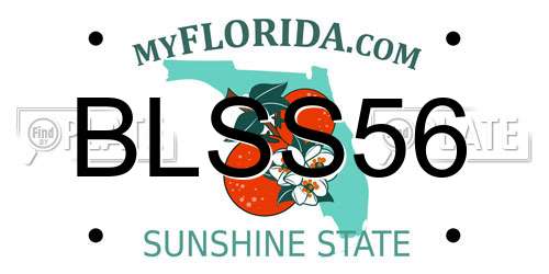 BLSS56 Florida License Plate