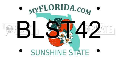 BLST42 Florida License Plate