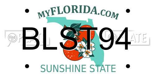 BLST94 Florida License Plate