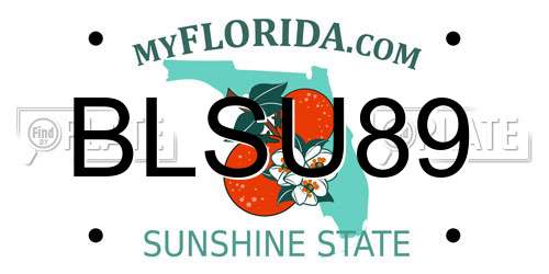 BLSU89 Florida License Plate