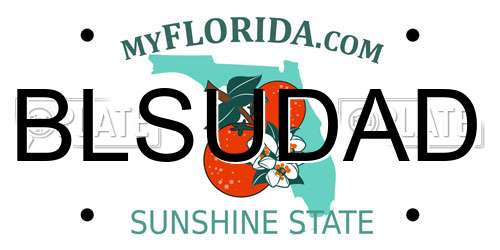 BLSUDAD Florida License Plate