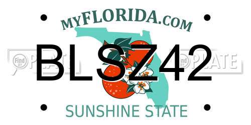 BLSZ42 Florida License Plate