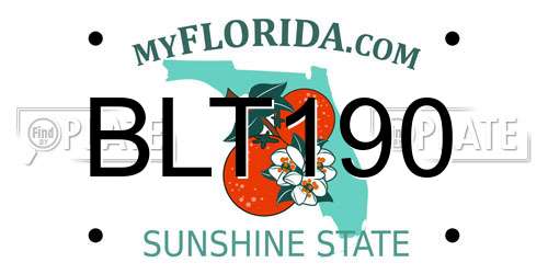 BLT190 Florida License Plate