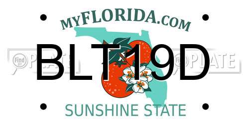 BLT19D Florida License Plate