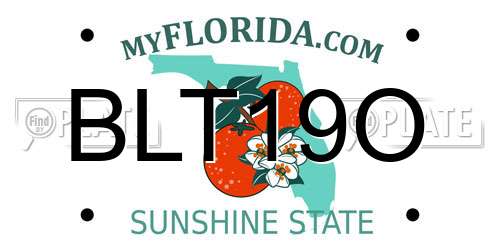 BLT19O Florida License Plate