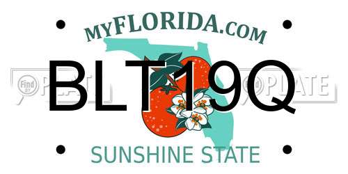BLT19Q Florida License Plate