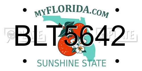 BLT5642 Florida License Plate