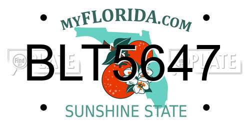 BLT5647 Florida License Plate