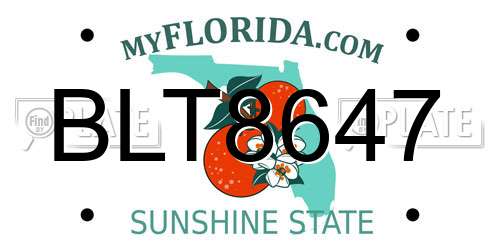 BLT8647 Florida License Plate