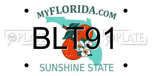 BLT91 Florida License Plate