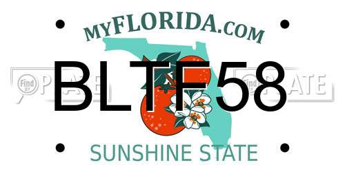 BLTF58 Florida License Plate