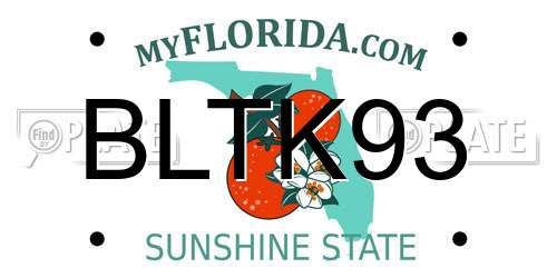 BLTK93 Florida License Plate