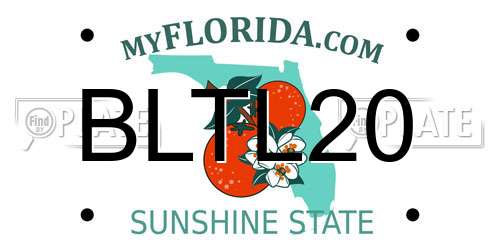 BLTL20 Florida License Plate