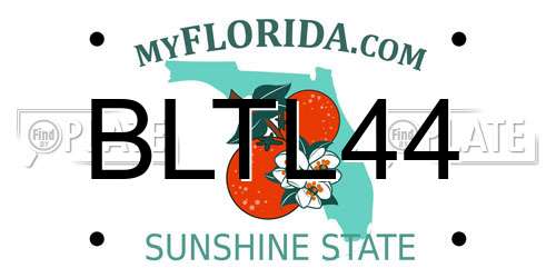BLTL44 Florida License Plate
