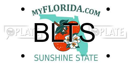 BLTS Florida License Plate