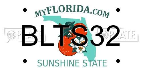 BLTS32 Florida License Plate